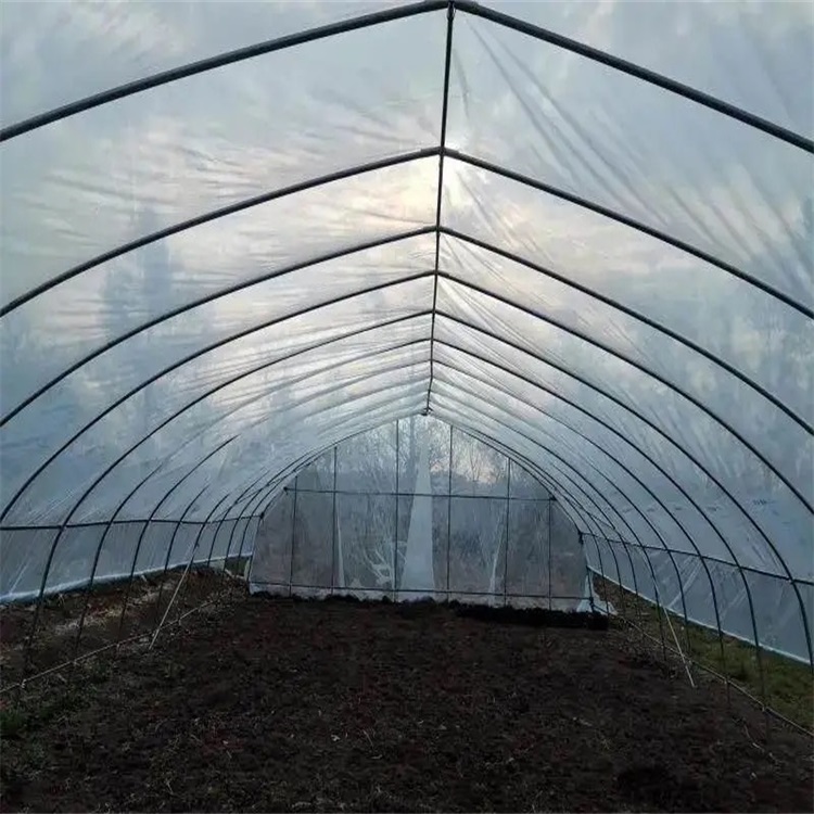 �߲˷Nֲ����Ǽܶ��ƏS��